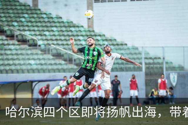 哈尔滨四个区即将扬帆出海，带着家乡的味道走向世界！